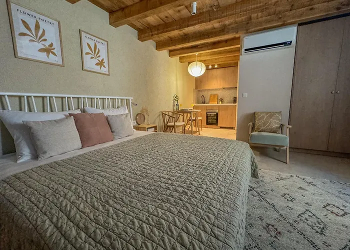 Olive Harmony Appartement